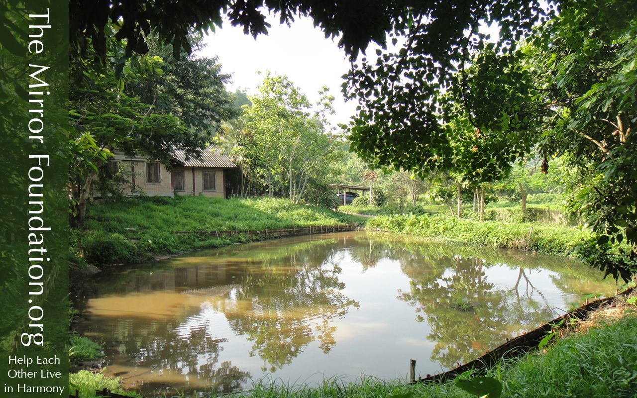 cat-tmf-chiangrai
